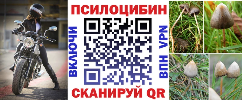 Галлюциногенные грибы MAGIC MUSHROOMS Киренск